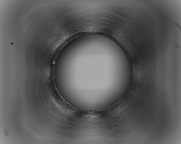 X0000103470208200809121635