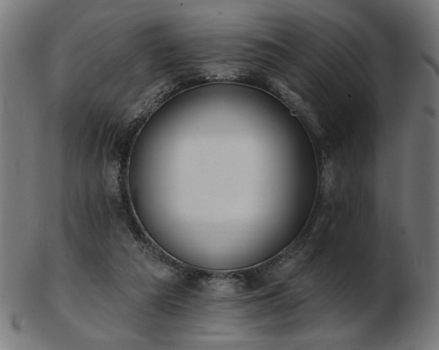 X0000103470209200809121635