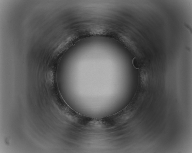 X0000103470211200809121635