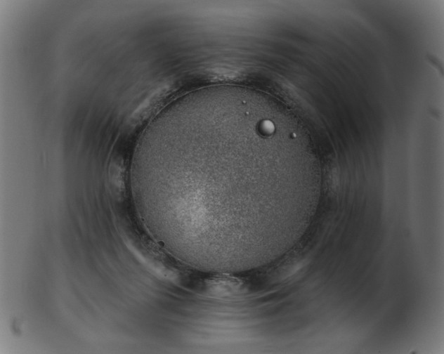 X0000103470215200809121635