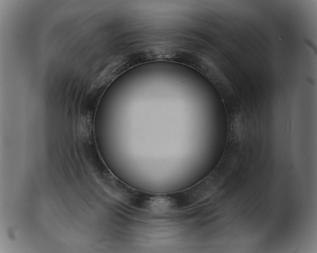 X0000103470218200809121635