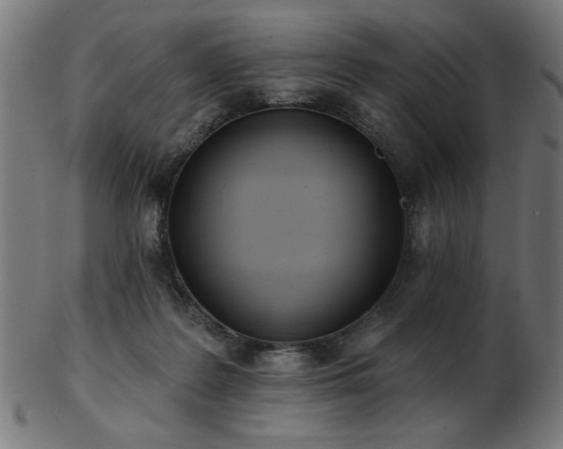 X0000103470219200809121635