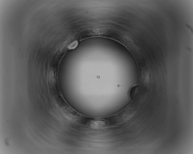 X0000103470220200809121635