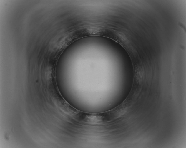 X0000103470221200809121635