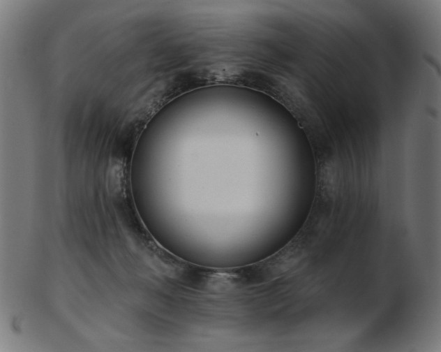 X0000103470222200809121635