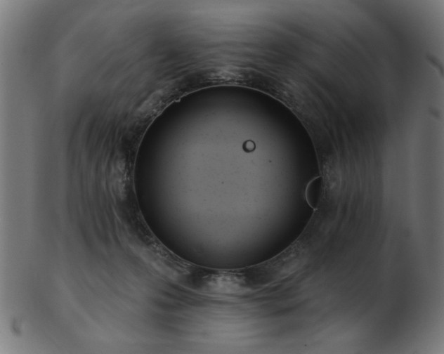 X0000103470223200809121635