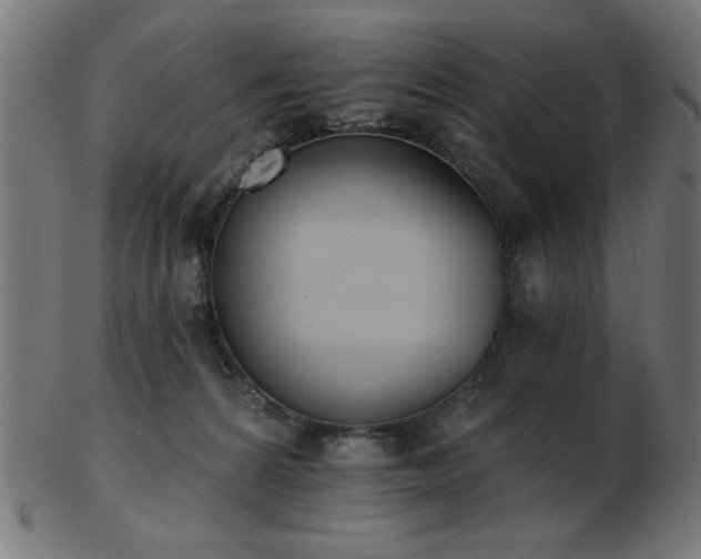 X0000103470224200809121635