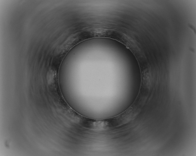 X0000103470225200809121635