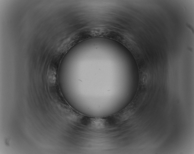 X0000103470226200809121635