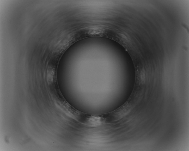 X0000103470227200809121635