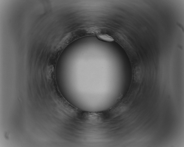 X0000103470229200809121635