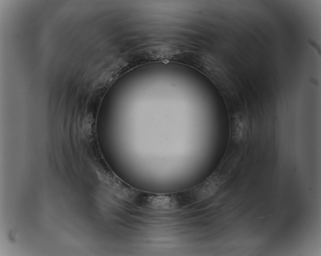 X0000103470230200809121635