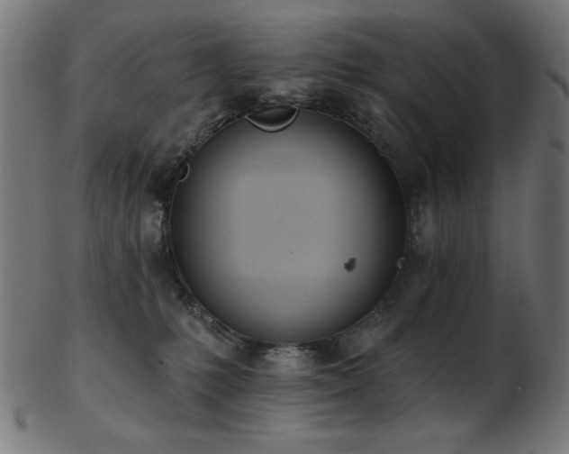 X0000103470231200809121635