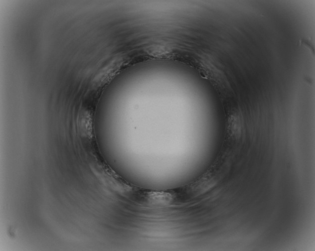 X0000103470234200809121635