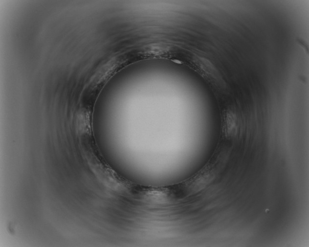 X0000103470236200809121635