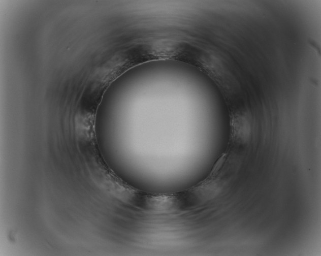 X0000103470237200809121635