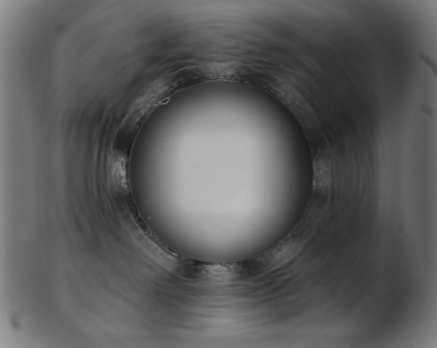 X0000103470238200809121635