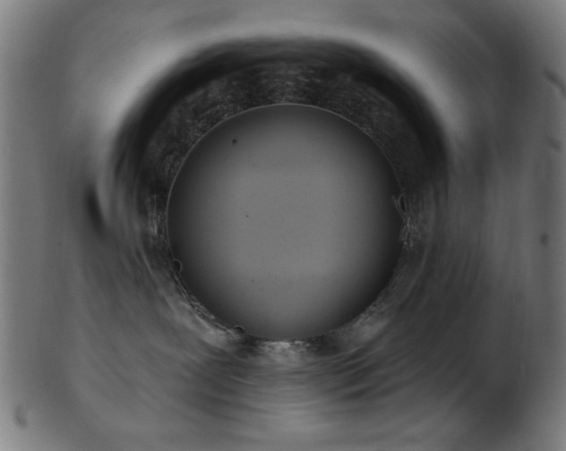 X0000103470239200809121635