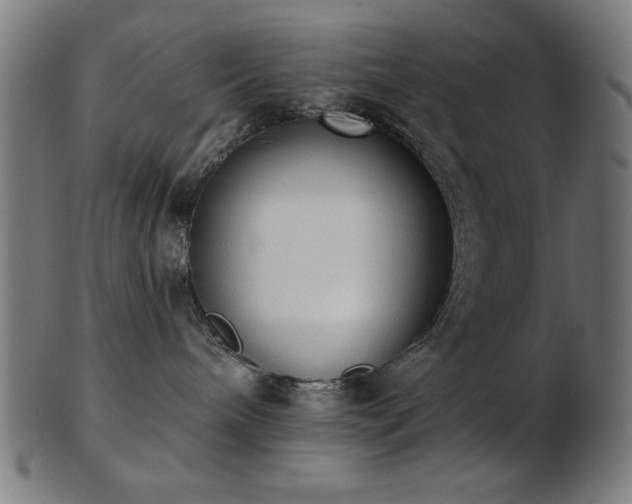 X0000103470240200809121635