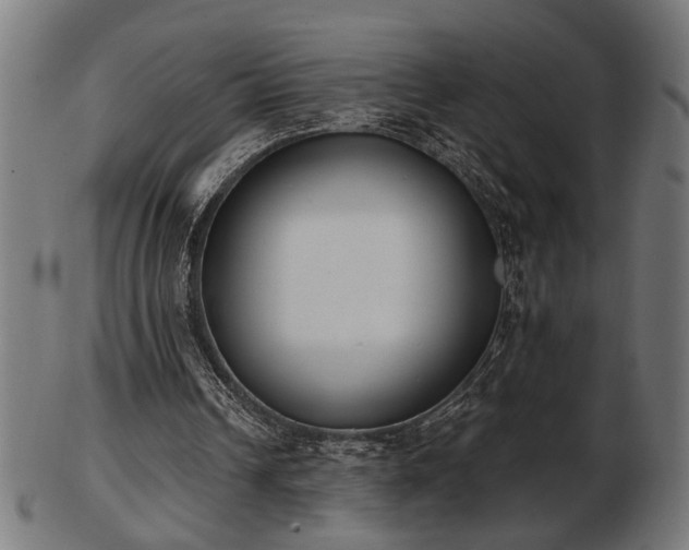 X0000103470242200809121634