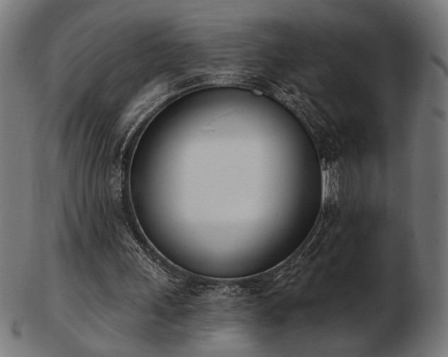 X0000103470243200809121634