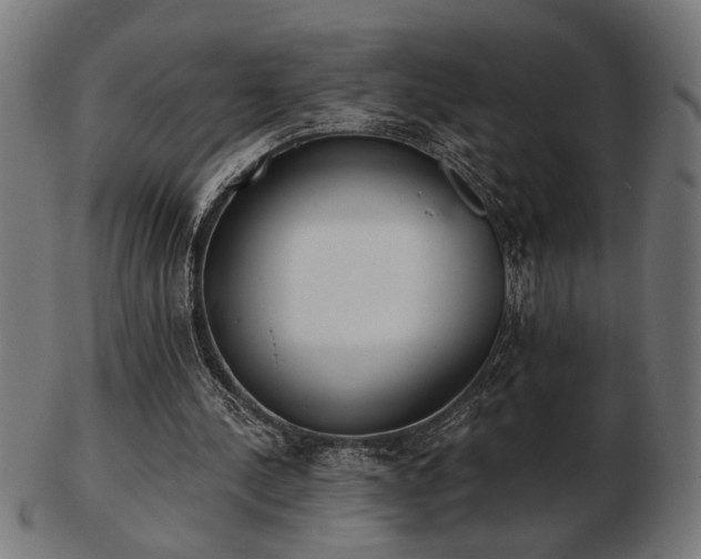 X0000103470244200809121634