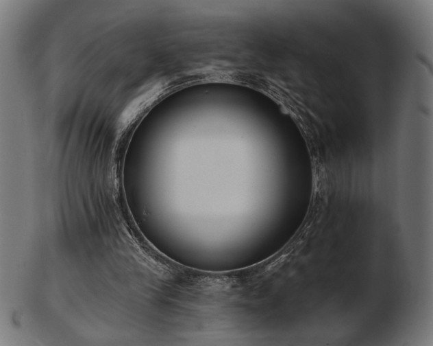 X0000103470245200809121634