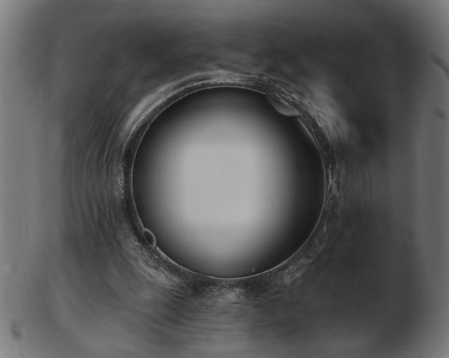 X0000103470247200809121634