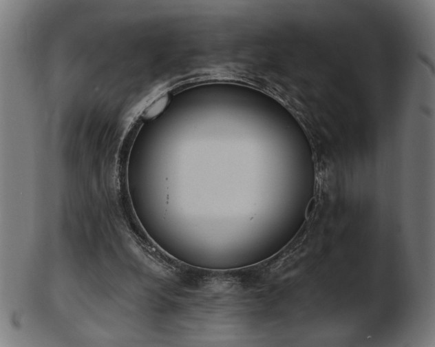 X0000103470248200809121634