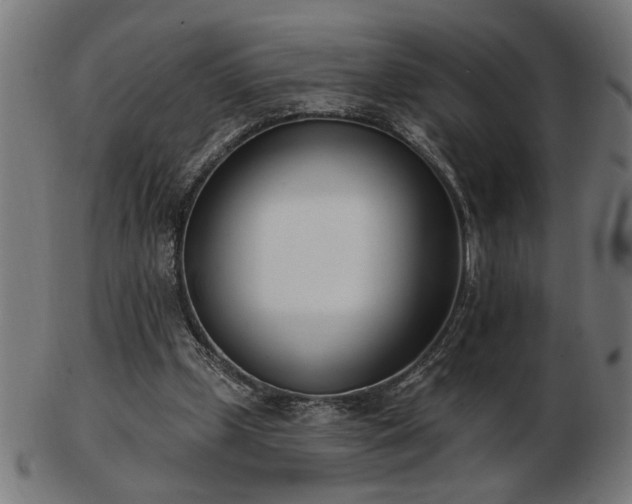 X0000103470249200809121634