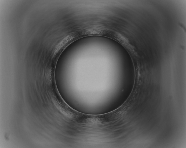 X0000103470250200809121634