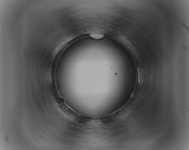 X0000103470252200809121634