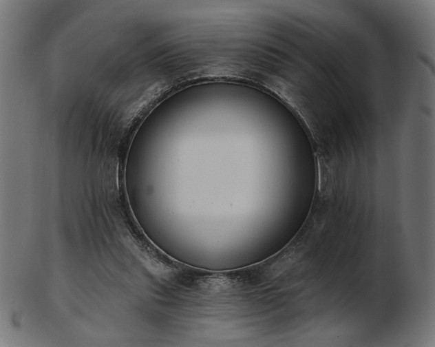 X0000103470253200809121634