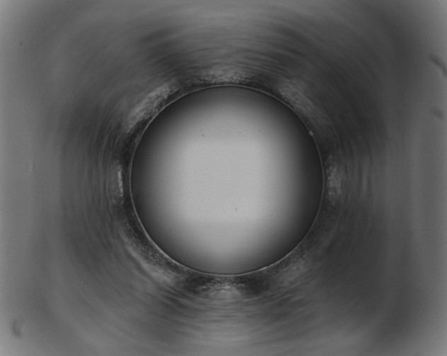 X0000103470254200809121634