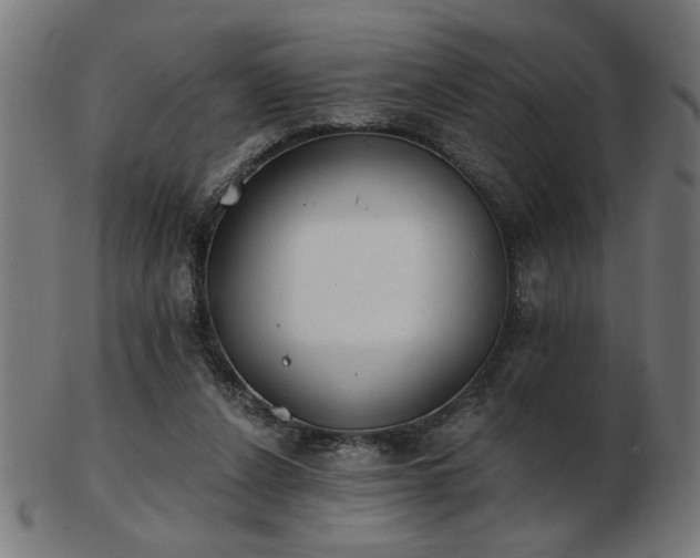 X0000103470256200809121634