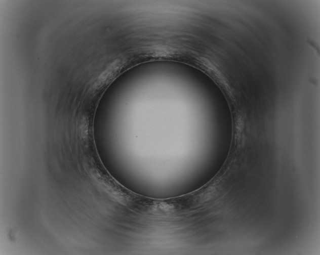 X0000103470257200809121634