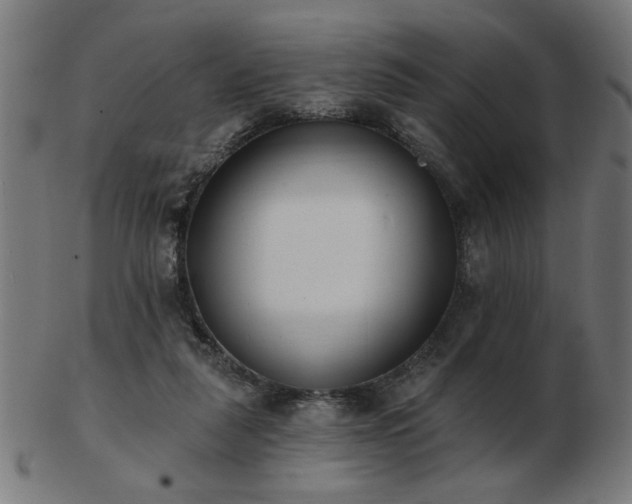 X0000103470259200809121634