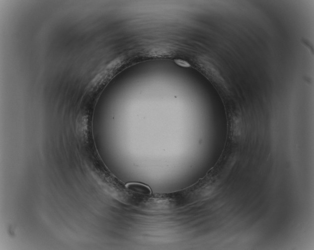 X0000103470260200809121634