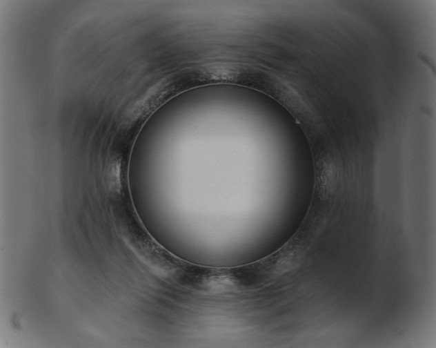 X0000103470262200809121634