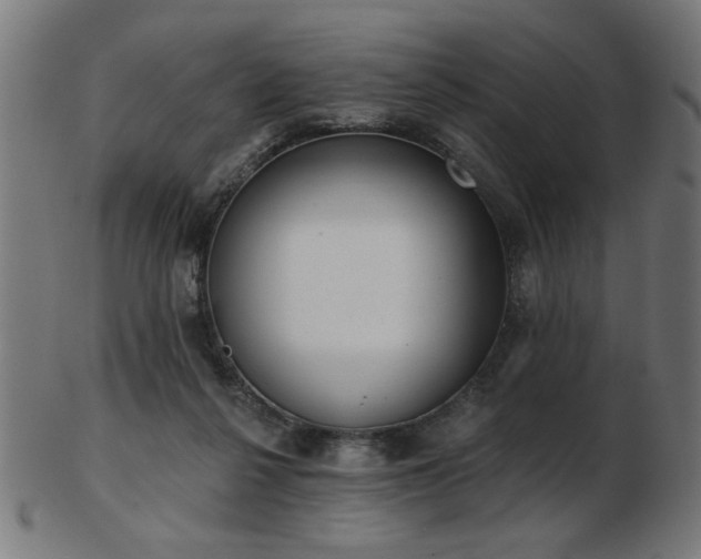 X0000103470264200809121634