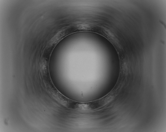 X0000103470265200809121634