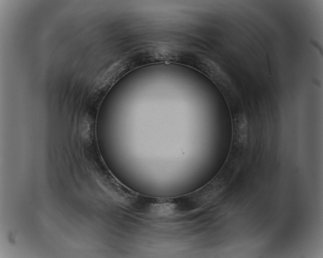 X0000103470266200809121634