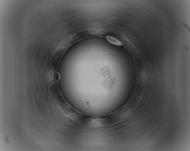 X0000103470268200809121634