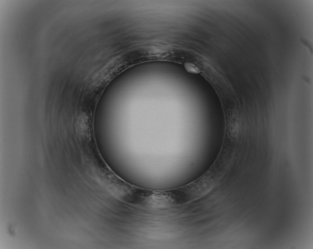 X0000103470270200809121634