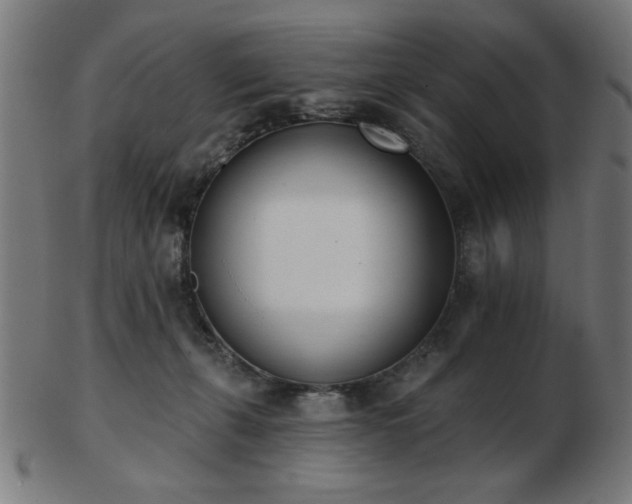 X0000103470271200809121634