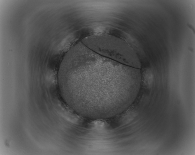 X0000103470272200809121634