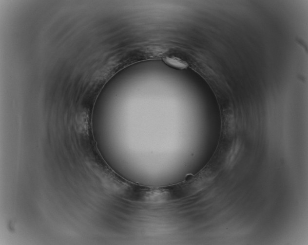 X0000103470274200809121634