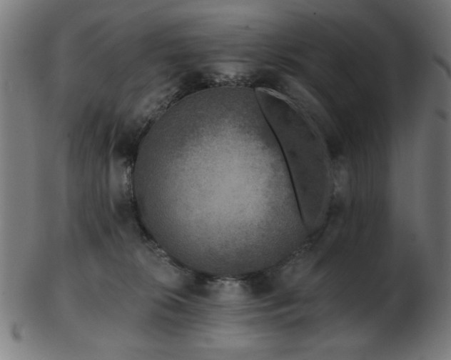 X0000103470276200809121634