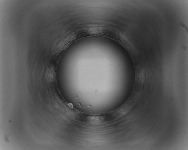 X0000103470277200809121634