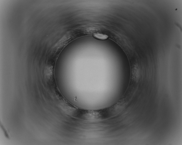 X0000103470278200809121635